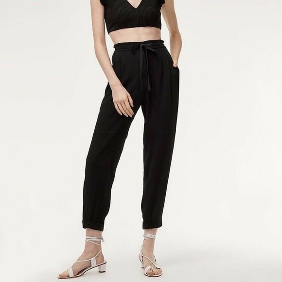 Aritzia Pants - Aritzia Wilfred Lyocell Pant 2